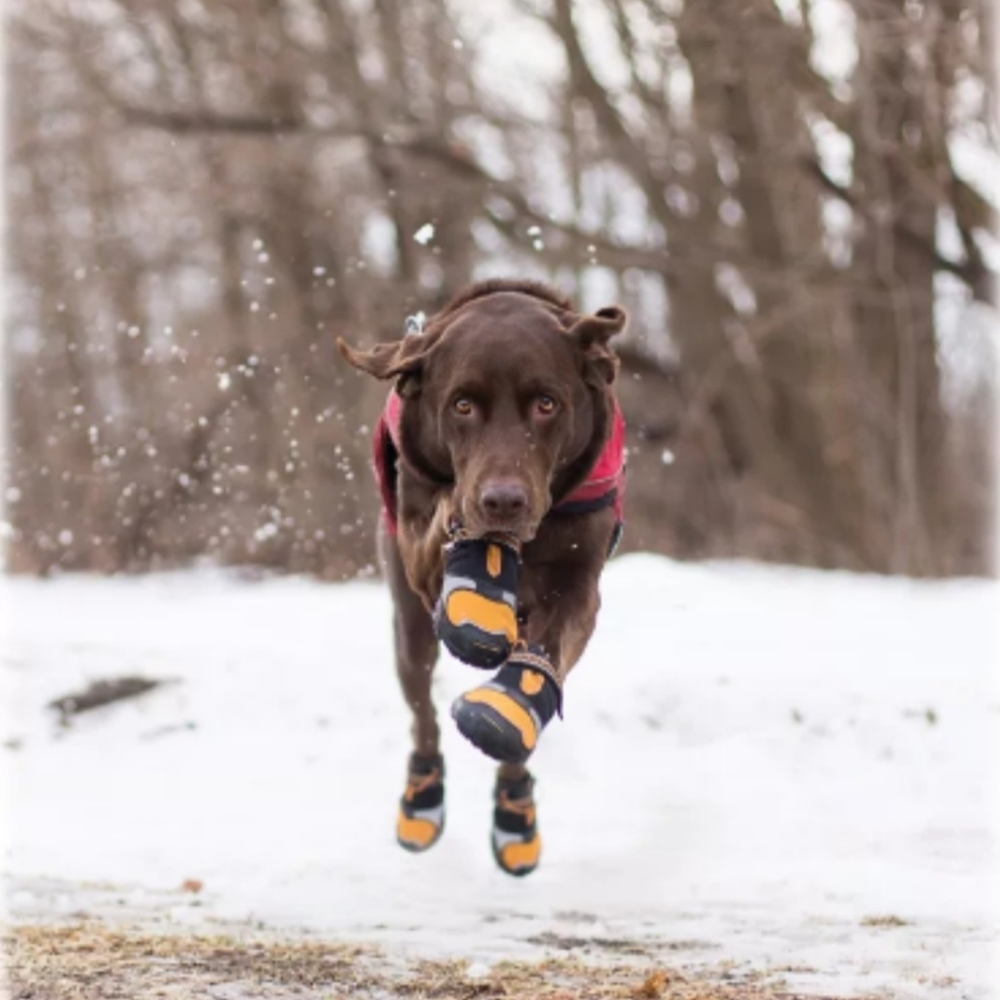 Kurgo Step-n-Strobe Dog Boot Set - Black/Orange